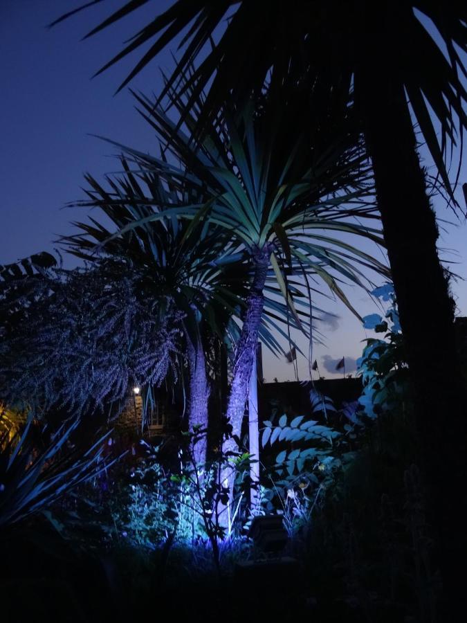 Gite "Rose Des Sables" - 800M De La Plage De Surtainville, Proche Commerces - Piscine En Juillet Et Aout Rum bild
