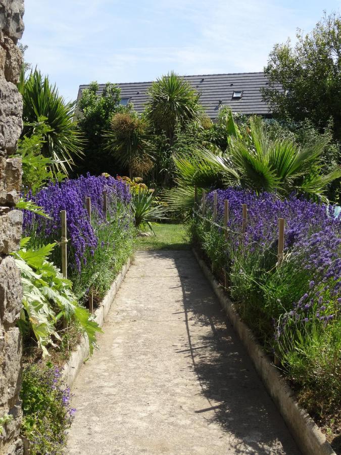 Gite "Rose Des Sables" - 800M De La Plage De Surtainville, Proche Commerces - Piscine En Juillet Et Aout Rum bild