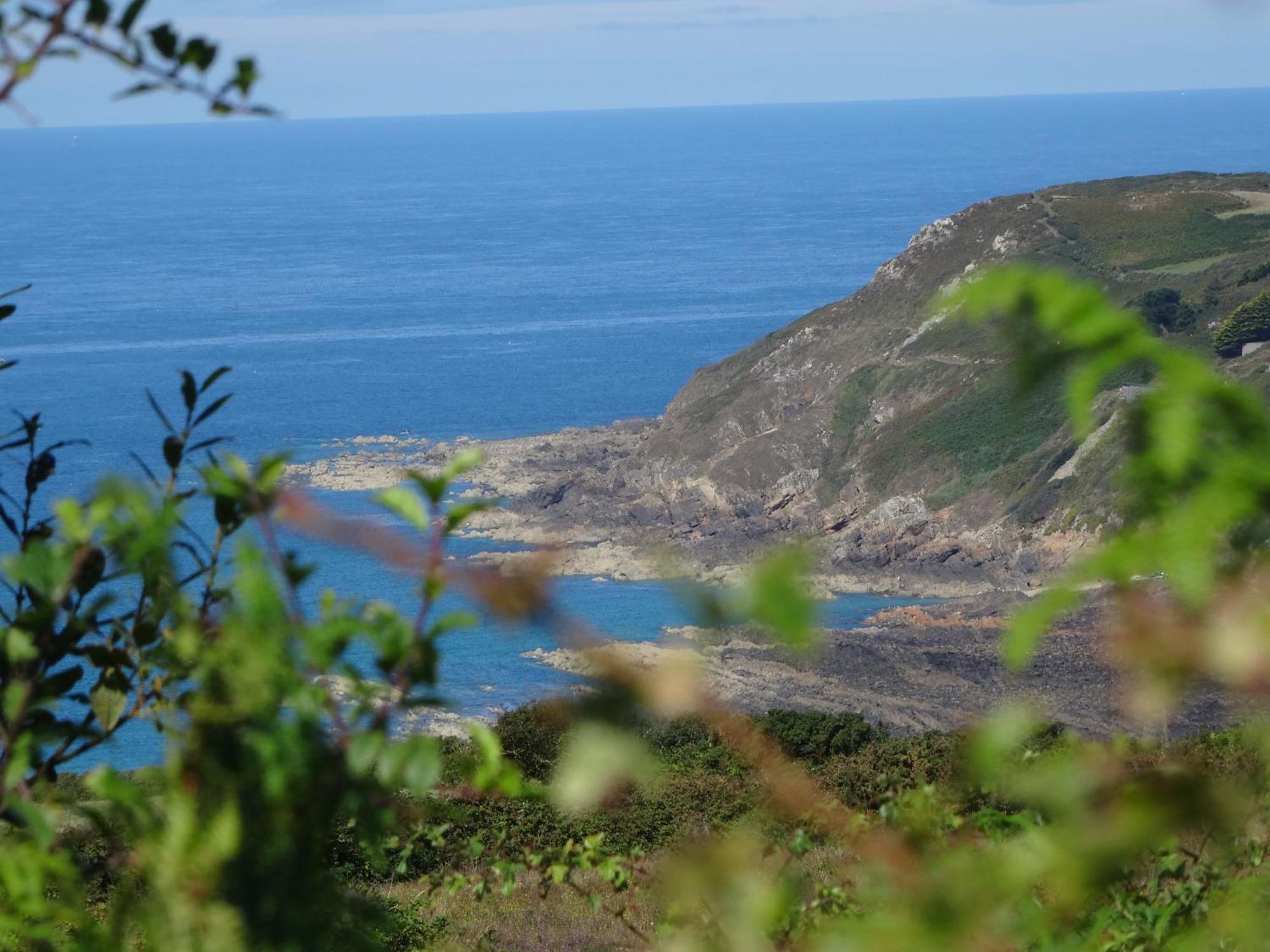 Gite "Rose Des Sables" - 800M De La Plage De Surtainville, Proche Commerces - Piscine En Juillet Et Aout Exteriör bild