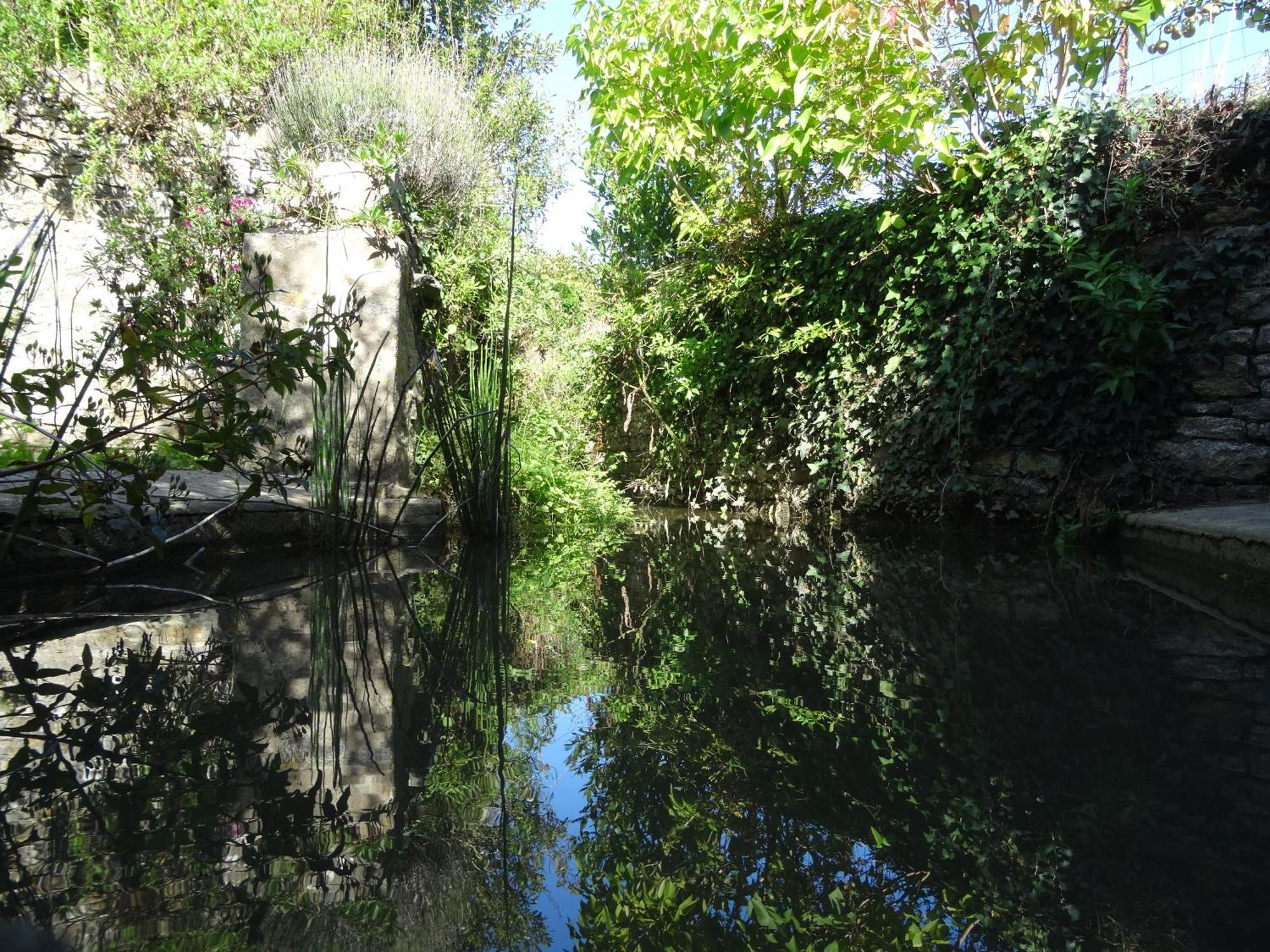 Gite "Rose Des Sables" - 800M De La Plage De Surtainville, Proche Commerces - Piscine En Juillet Et Aout Exteriör bild