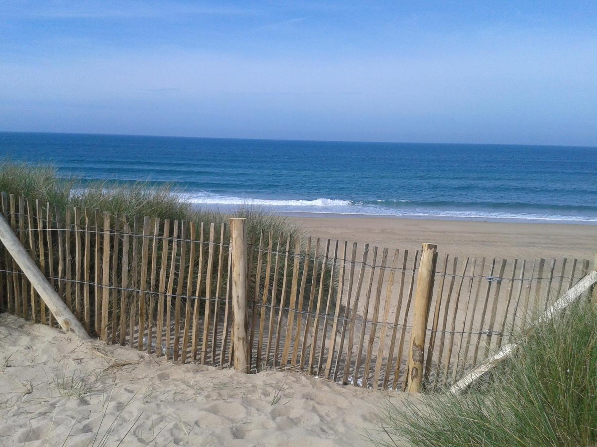 Gite "Rose Des Sables" - 800M De La Plage De Surtainville, Proche Commerces - Piscine En Juillet Et Aout Exteriör bild